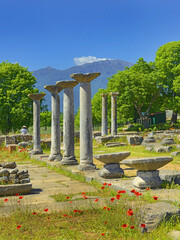 Ancient Ruins at archaeological area of Philippi near Kavala, Greece, UNESCO World Heritage Site
