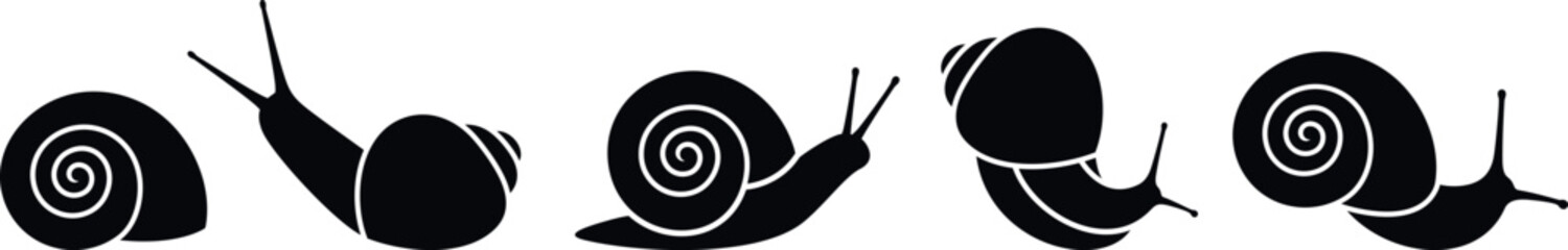 Grape snail logo. Isolated grape snail on white background