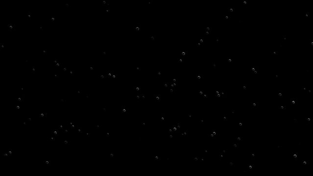 Bubble surges on black background move upwards, 4k, loop