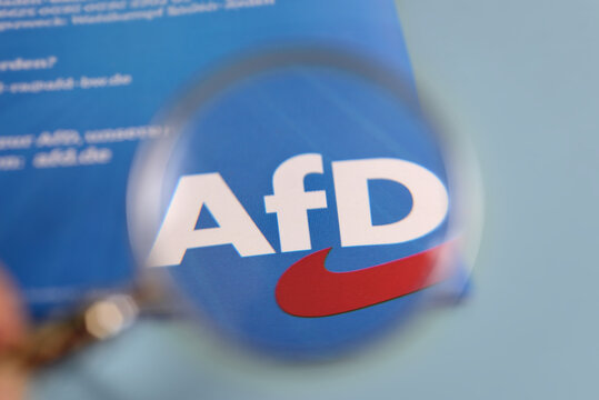 AfD German political party flyer
