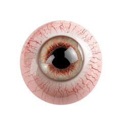 Transparent PNG of A detailed close-up of an eyeball against a stark white background