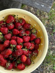 strawberries in a bowl
