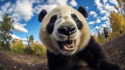 Close-up selfie portrait of a panda.
