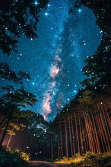 In the mystical night, the Milky Way illuminates the coniferous woods, creating a cosmic symphony.