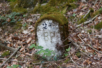 An incomprehensible ancient stone covered with moss with letters in the forest on the path