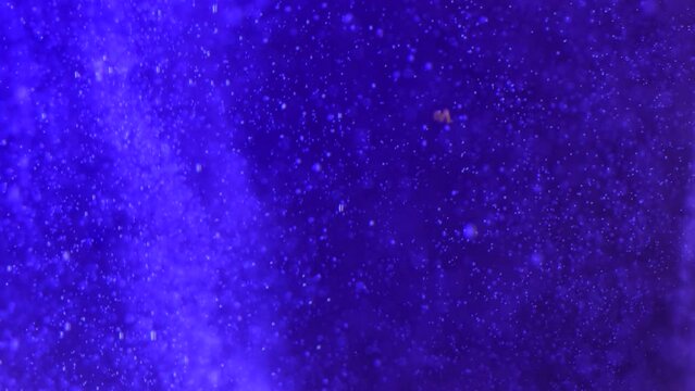 Small blue bubbles rise in the water