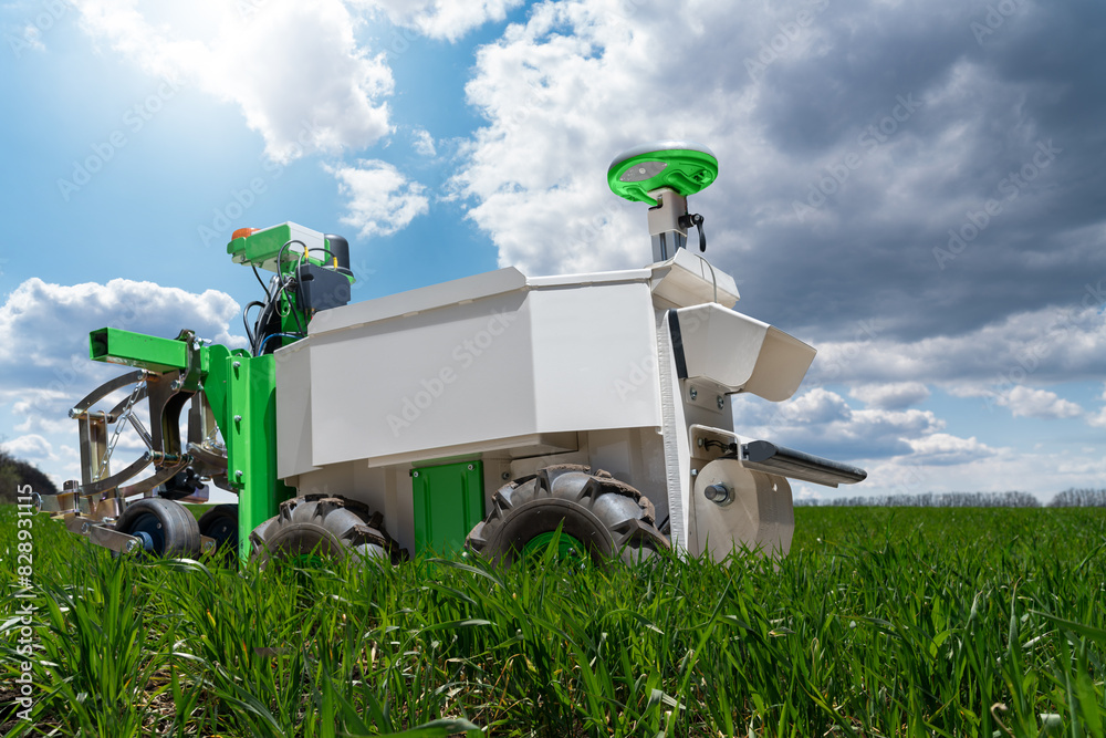 Aufkleber Autonomous wheeled robot is working in an agricultural field. Using artificial intelligence on a smart farm..