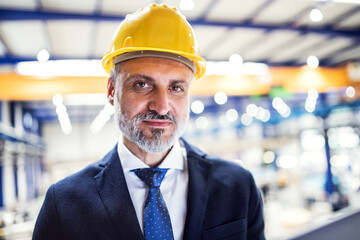 Portrait of project manager standing in modern industrial factory. Manufacturing facility with robotics, robotic arms and automation. Storing products and materials in warehouse.