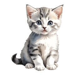 Obraz premium Munchkin Cat Kitten Hand Drawn Watercolor Painting Illustration