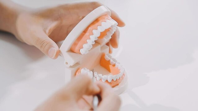 Online medical consultation. Asian male dentist doctor showing jaw model educate about taking care of gums and teeth through talking online, making video call with patient. Medical and technology