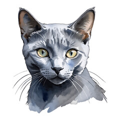 Russian Blue Cat Hand Drawn Watercolor Painting Illustration