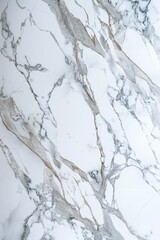 Intricate marble veining creating an elegant and luxurious texture, perfect for highend designs