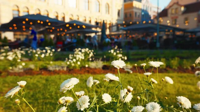 Scenic urban garden with flowers, cafe, and lively atmosphere in the city on a sunny day