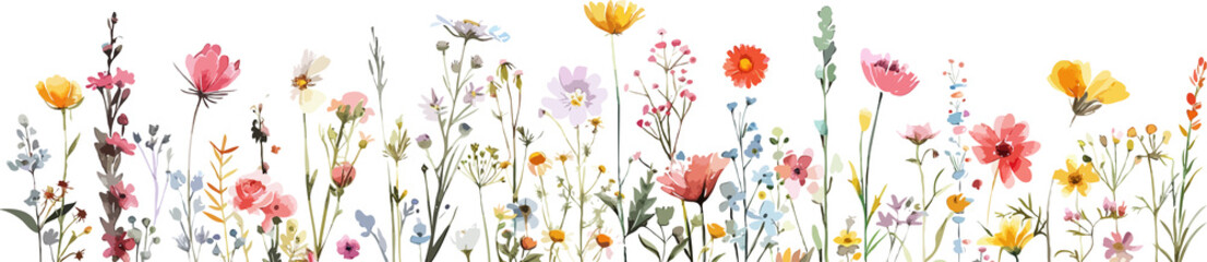 Floral border with spring wild flowers on transparent background, Botanical banner with herbal plants, blooms for decoration