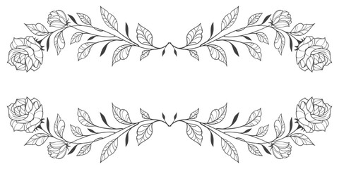 Sketch Floral Botany Collection. flower drawings. Black and white with line art on white backgrounds. Hand Drawn Botanical Illustrations.Vector.