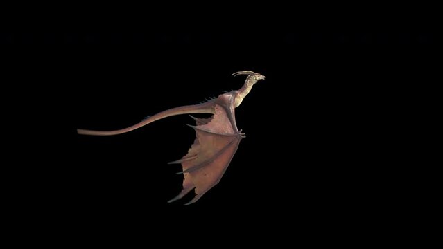 Flying and Roaring Fantasy Dragon Pack

Animation of a flying and roaring fantasy dragon in 4K. Seamless loop.
Dragon on isolated background. Animation for fantasy backgrounds. 
Use this video in any 