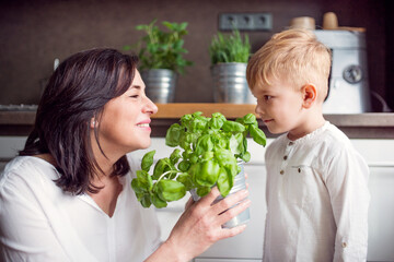 Beautiful grandmother with little boy spending together time in kitchen, learning to cook. Grandson...