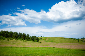 Beautiful summer landscape, field, forest, sky