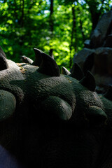 Dino park. Prehistoric animal reconstruction