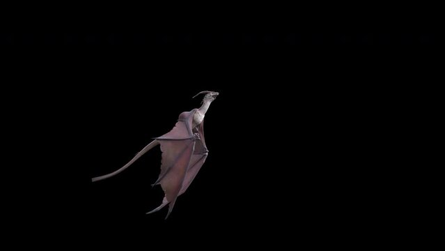 Animation of a flying and roaring fantasy dragon in 4K. Seamless loop.
Dragon on isolated background. Animation for fantasy backgrounds. 
Use this video in any fantasy, sci-fi, game or education relat