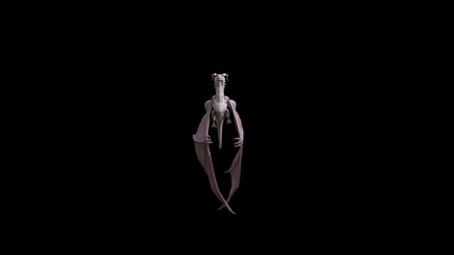 Animation of a flying and roaring fantasy dragon in 4K. Seamless loop.
Dragon on isolated background. Animation for fantasy backgrounds. 
Use this video in any fantasy, sci-fi, game or education relat