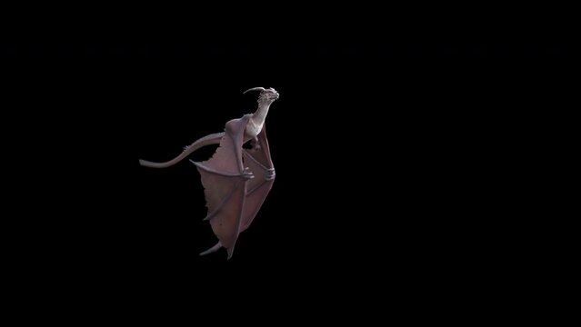 Animation of a flying and roaring fantasy dragon in 4K. Seamless loop.
Dragon on isolated background. Animation for fantasy backgrounds. 
Use this video in any fantasy, sci-fi, game or education relat