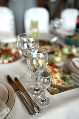 A variety of glasses, knives and other utensils for serving the festive table.
