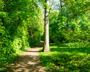 Weg für Spaziergänger bei Sonnenschein. Vorbei an Bäumen und einer saftigen, grünen Wiese
