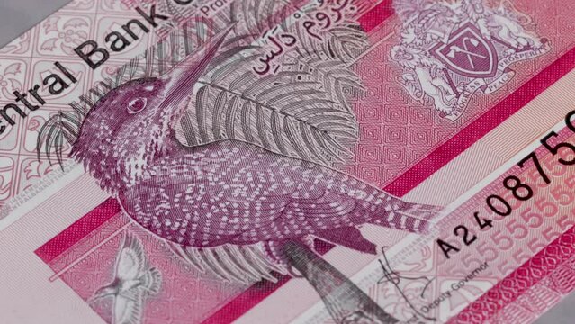 25 Gambian dalasi national currency money legal tender bill central bank 3