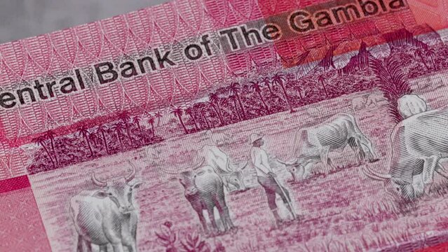 25 Gambian dalasi national currency money legal tender bill central bank 5