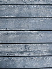 drewniane deski podłogowe w niebieskim odcieniu z wyraźnie widocznymi słojami oraz sękiem © Przemysaw