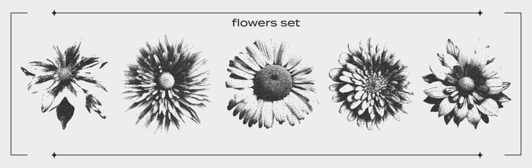 Elements with a retro photocopy effect. Grain and dotted lines. Various flowers, chamomile, dandelion, for Y2K design. Vector.