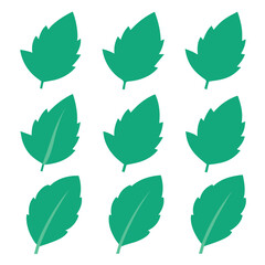 Set of Mint leaf vector icon vector on white background