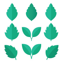 Set of Mint leaf vector icon vector on white background