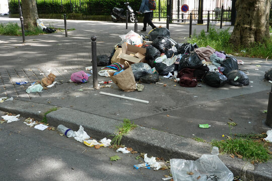 Poubelles &eacute;ventr&eacute;es dans la rue