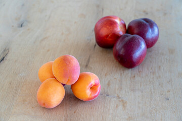 fresh apricots and nectarines