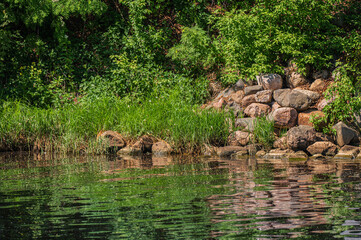 Natural background with stones on the river bank among grass and trees. Edge of water with reflection. 