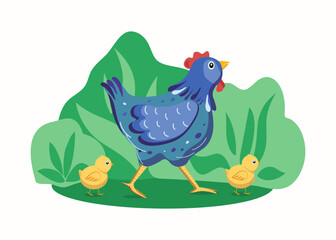 ute hen and chick. Chicken, pet. Farm, livestock. Vector illustration on isolated background.