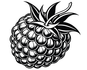 Raspberry design vector