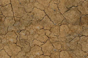 cracked and parched earth, stark reminder devastating effects drought