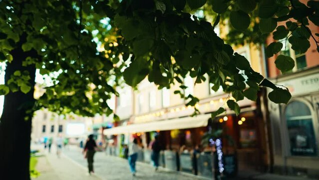 People stroll on a vibrant city street with cafes and shops under green trees on a sunny summer day