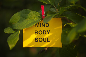 A yellow paper note with the words Mind, Body, Soul on it attached to a tree branch with a clothes pin. Close up