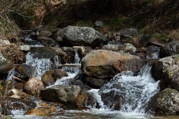 Agua en la sierra de Madrid 