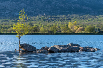 Pantano de Santillana 
