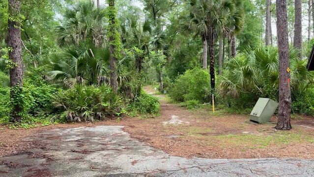 A hiking trail in the Clearwater Lake Recreation Area near Paisley, Florida USA