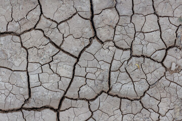 Close-up top view of dry dark grey cracked clay land surface in a summer day. Abstract weather background. Soft focus. Copy space. Drought and climate change theme.