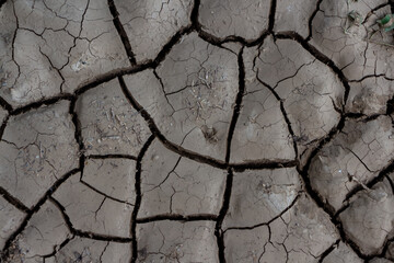Close-up top view of dry dark grey cracked clay land surface in a summer day. Abstract weather background. Soft focus. Copy space. Drought and climate change theme.