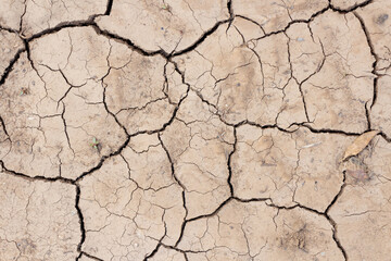 Close-up top view of dry brown cracked clay land surface in a summer day. Abstract weather background. Soft focus. Copy space. Drought and climate change theme.