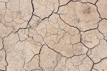 Close-up top view of dry brown cracked clay land surface in a summer day. Abstract weather background. Soft focus. Copy space. Drought and climate change theme.