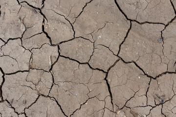 Close-up top view of dry brown cracked clay land surface in a summer day. Abstract weather background. Soft focus. Copy space. Drought and climate change theme.